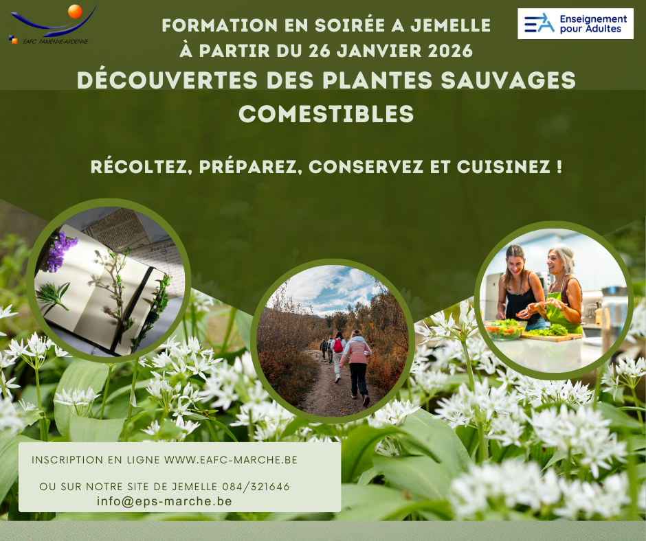 You are currently viewing Découvertes des plantes sauvages comestibles